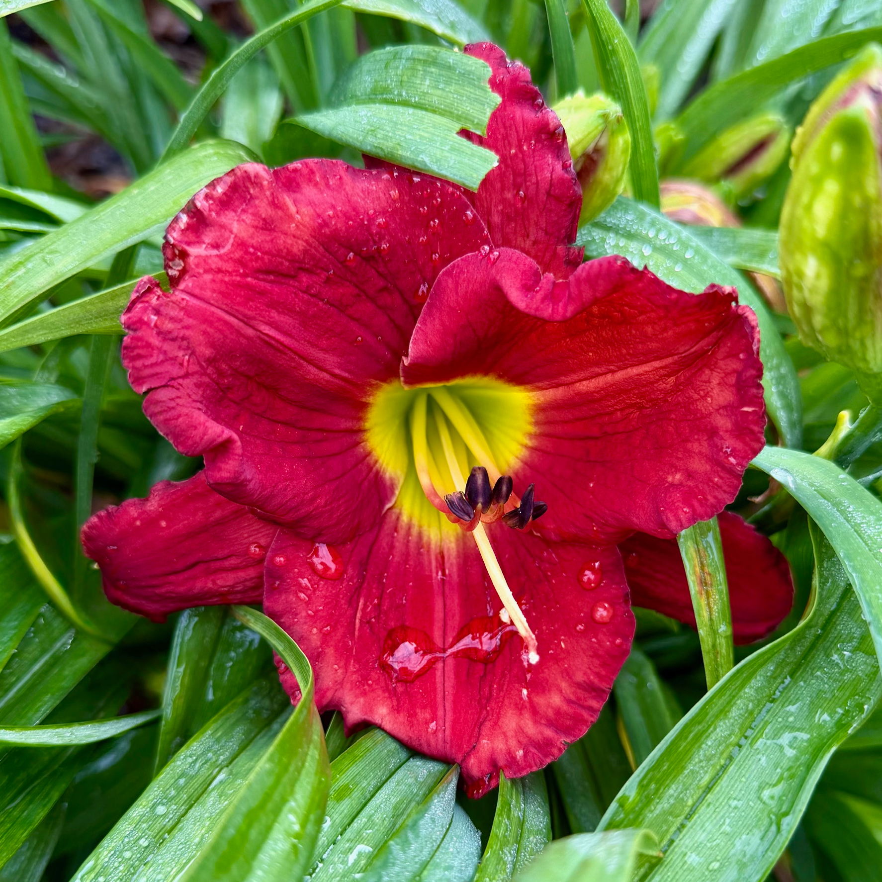 Booger Bottom Blessing image