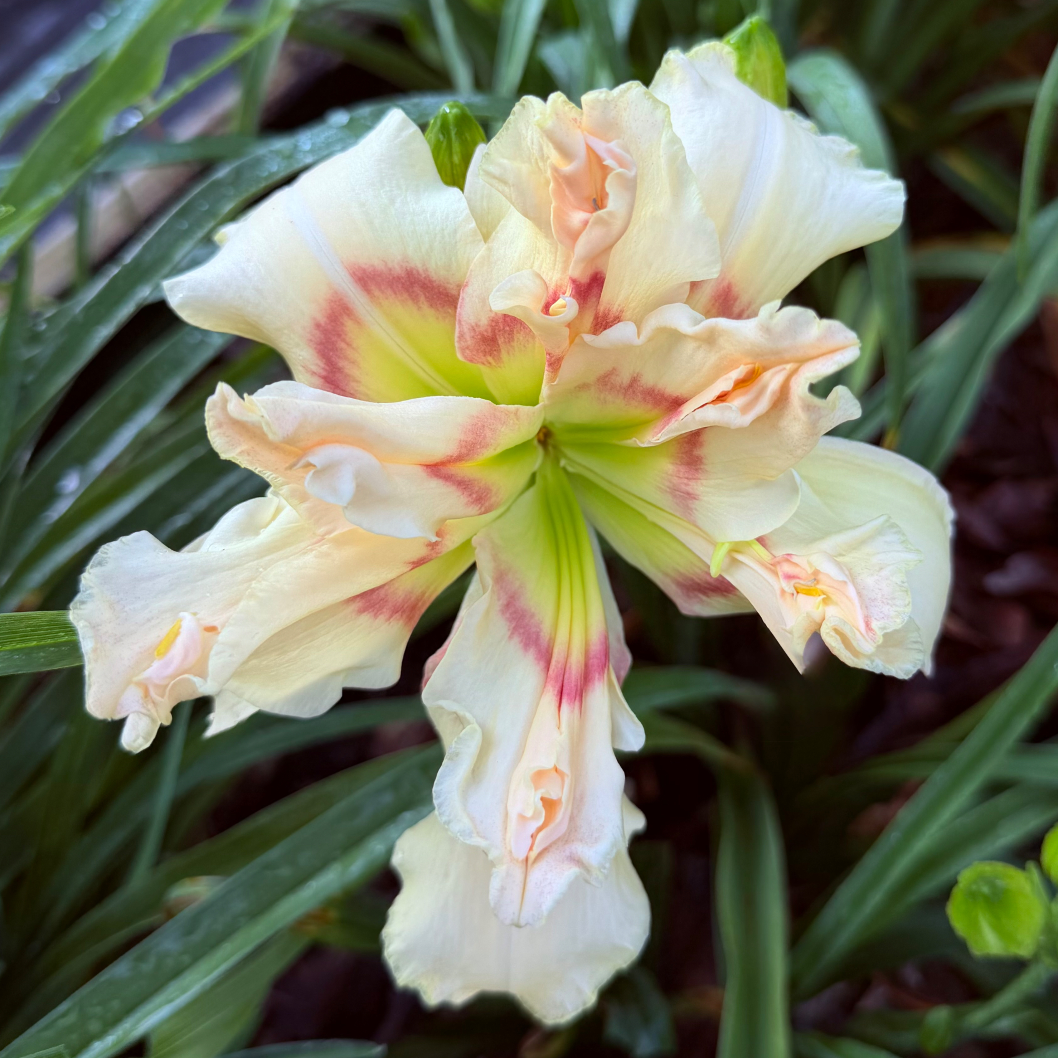 It's All up in There image